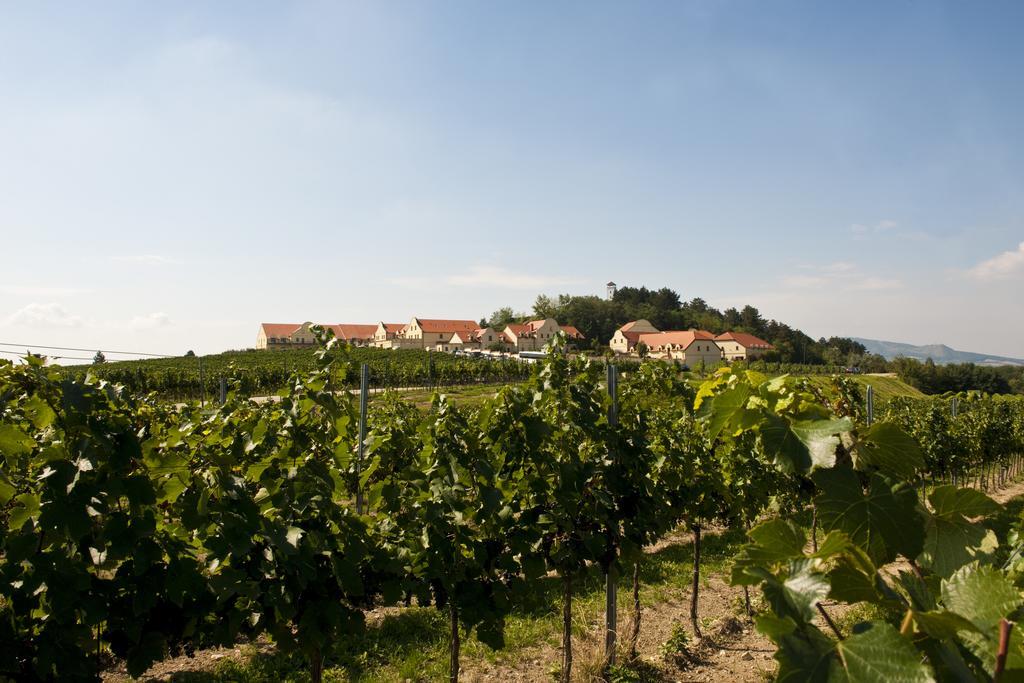 Vinarstvi U Kaplicky Hotell Zaječí Eksteriør bilde