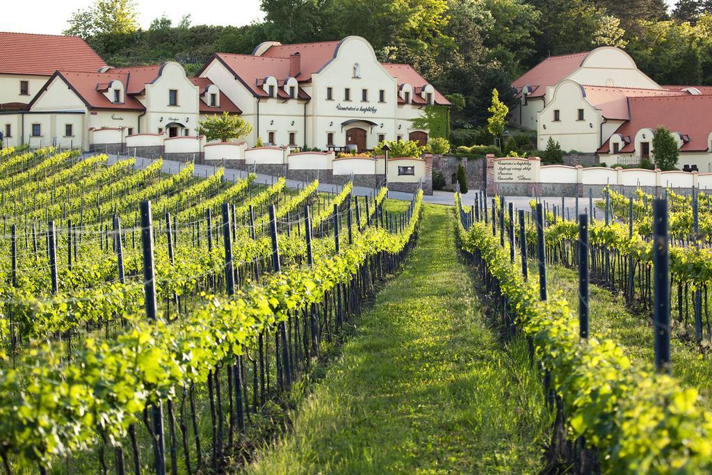 Vinarstvi U Kaplicky Hotell Zaječí Eksteriør bilde