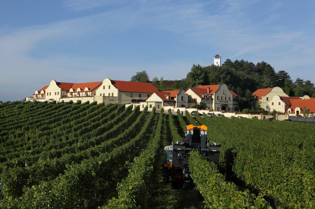 Vinarstvi U Kaplicky Hotell Zaječí Eksteriør bilde